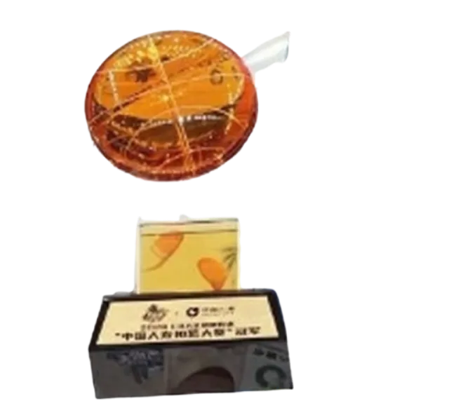 CBA Slam Dunk Contest Champion