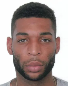 JAMELLE WILLIAM HAGINS