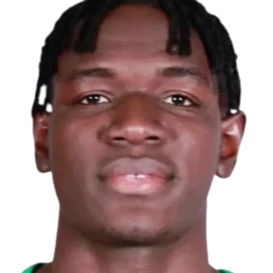 Mahamane coulibaly portrait