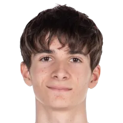 Ferran Mauri Guillen