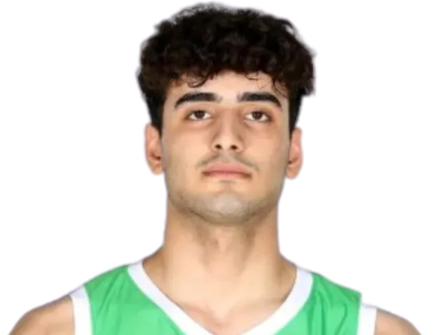 Ali Alaa Hussein Al-Musawi 