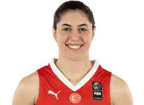 Goksen Fitik portrait