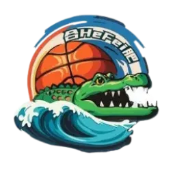 Hefei Culture and Tourism Women's logo