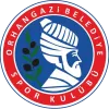 Orhangazi Genclik Logo