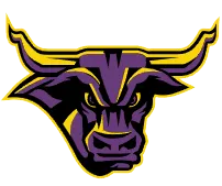 Minnesota State University Women Logo