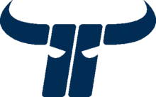 Kapfenberg Bulls Logo