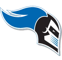 mount saint mary college (new york)