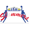 South West Slammers Logo