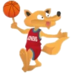 Club Nou Basquet Paterna Logo