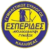 Esperides Kallitheas Women logo