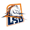 SL Mandic Logo