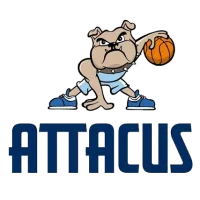 LWD Basketball Logo