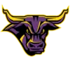 Minnesota State Logo