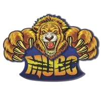 Shoot It Dragon Logo