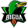El Bigua W Logo
