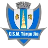 ACS Targu Jiu