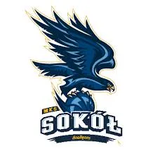 AMW Flota Gdynia Logo