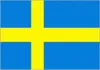 Sweden U20 logo
