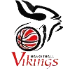 Vikings Logo