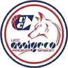 Lions Bisceglie Logo