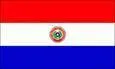 Paraguay logo