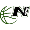 Nervianese Logo