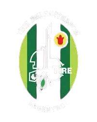 Soke Belediye Aydin Logo