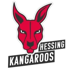 BG Hessing Leitershofen logo