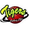 Surabaya Fever Women Logo