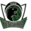 Tema Koleji Baskent Logo