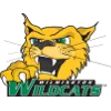 Wilmington Women Logo