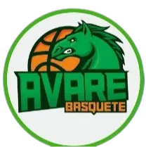 Liga Sorocabana 1D Logo