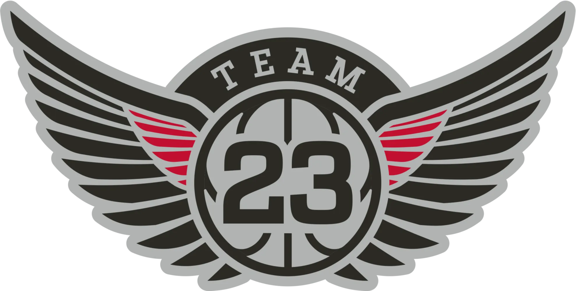 Team 23 Logo