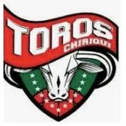 Toros De Chiriqui Logo