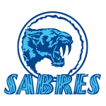 Woodville Warriors Women Logo