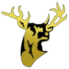 SSC-R Stags Logo