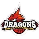 Liga Sorocabana 1D Logo