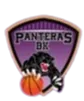 Panthers Women Logo