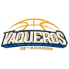 Bayamon Logo