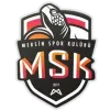 Istanbul GSK Women Logo
