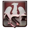 AZS UMK Torun logo
