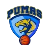 CD Pumas SAESA Logo