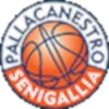 Goldengas Pallacanestro Senigallia Logo