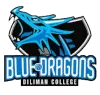 DC Blue Dragon Logo