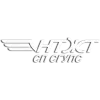 NTZHT Novosibirsk Logo