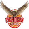 Pichincha Potosi Logo