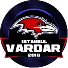 Ankara Anadolu Basket Logo