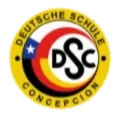 CD Aleman de Concepcion U21 Logo