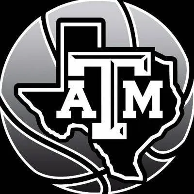 Texas Logo