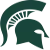 Michigan State Women Logo